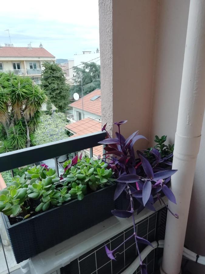 " Sete A Vous" Apartment Exterior foto